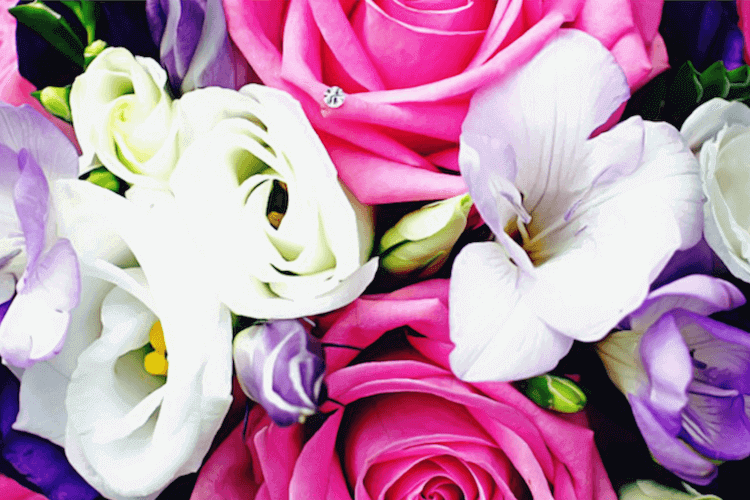 Wedding Photography: 12 Shots You Can't Miss